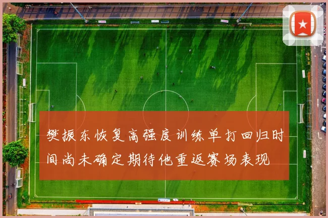 樊振东恢复高强度训练单打回归时间尚未确定期待他重返赛场表现